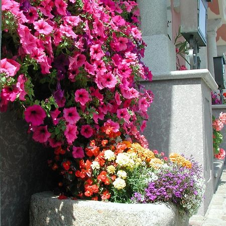 Hotel Sammer Neufelden 外观 照片