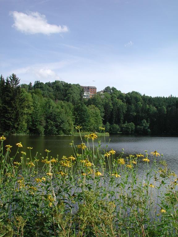 Hotel Sammer Neufelden 外观 照片